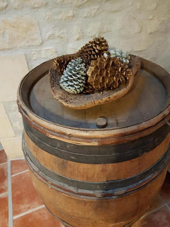 Le Domaine De Bellevue Bed & Breakfast Tanzac Luaran gambar