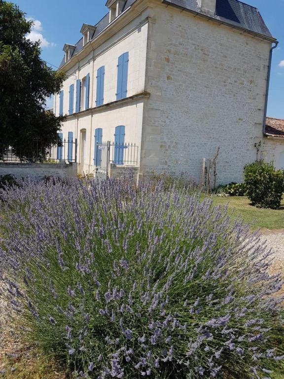 Le Domaine De Bellevue Bed & Breakfast Tanzac Luaran gambar